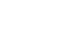 unione industriali